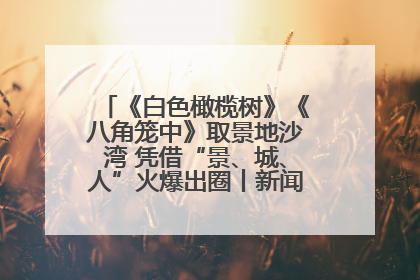 《白色橄榄树》《八角笼中》取景地沙湾 凭借“景、城、人”火爆出圈丨新闻发布最前线
