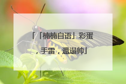 「楠楠自语」彩蛋，手雷，邋遢帅