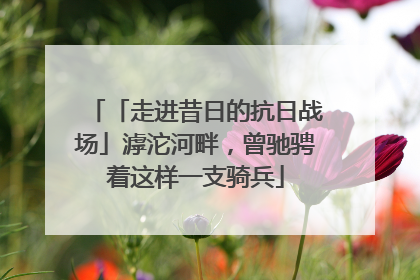 「走进昔日的抗日战场」滹沱河畔，曾驰骋着这样一支骑兵