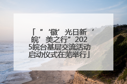 “‘徽’光日新‘皖’美之行”2025皖台基层交流活动启动仪式在芜举行