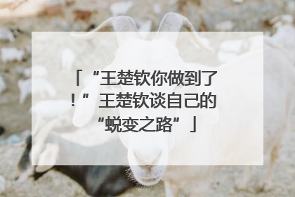 “王楚钦你做到了！”王楚钦谈自己的“蜕变之路”