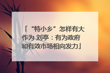 “特小乡”怎样有大作为 刘亭：有为政府和有效市场相向发力