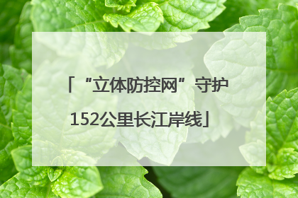 “立体防控网”守护152公里长江岸线