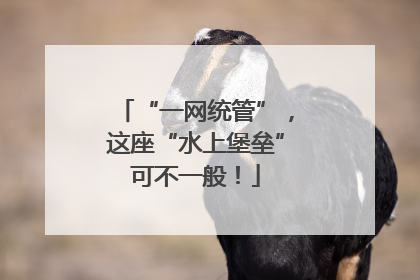 “一网统管”，这座“水上堡垒”可不一般！