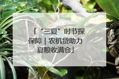“三夏”时节探保障｜农机贷助力夏粮收满仓