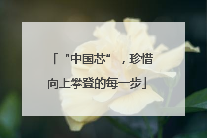 “中国芯”，珍惜向上攀登的每一步
