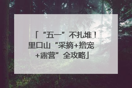 “五一”不扎堆！里口山“采摘+撸宠+露营”全攻略