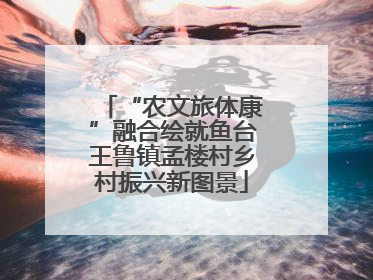 “农文旅体康”融合绘就鱼台王鲁镇孟楼村乡村振兴新图景