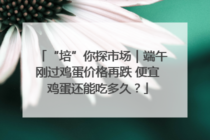 “培”你探市场｜端午刚过鸡蛋价格再跌 便宜鸡蛋还能吃多久？