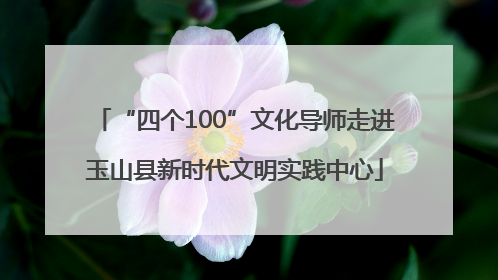 “四个100”文化导师走进玉山县新时代文明实践中心