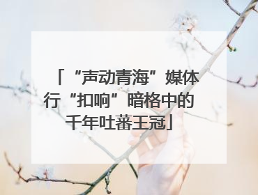 “声动青海”媒体行“扣响”暗格中的千年吐蕃王冠
