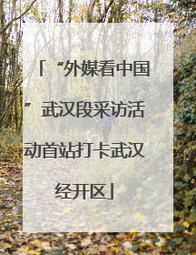 “外媒看中国”武汉段采访活动首站打卡武汉经开区