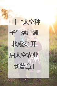 “太空种子”落户湖北咸安 开启太空农业新篇章
