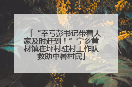 “幸亏彭书记带着大家及时赶到！”宁乡黄材镇崔坪村驻村工作队救助中暑村民