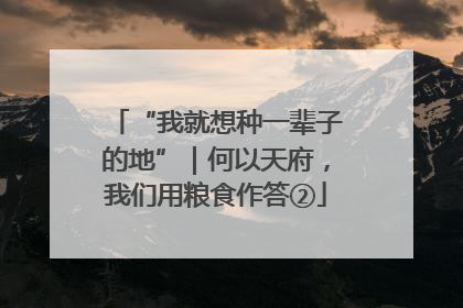 “我就想种一辈子的地”｜何以天府，我们用粮食作答②