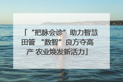 “把脉会诊”助力智慧田管 “数智”良方夺高产 农业焕发新活力