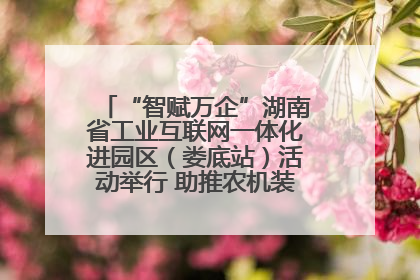 “智赋万企”湖南省工业互联网一体化进园区（娄底站）活动举行 助推农机装备产业高质量发展