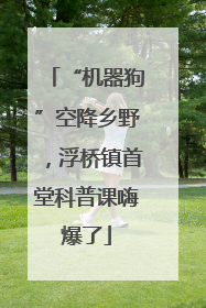 “机器狗”空降乡野，浮桥镇首堂科普课嗨爆了