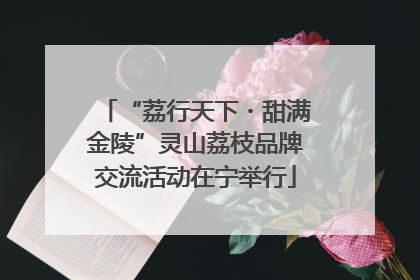 “荔行天下・甜满金陵”灵山荔枝品牌交流活动在宁举行