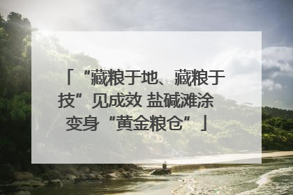 “藏粮于地、藏粮于技”见成效 盐碱滩涂变身“黄金粮仓”