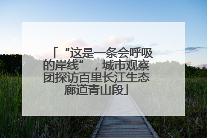 “这是一条会呼吸的岸线”，城市观察团探访百里长江生态廊道青山段