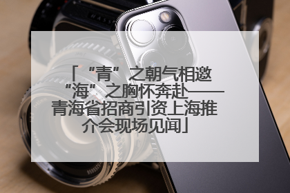 “青”之朝气相邀 “海”之胸怀奔赴——青海省招商引资上海推介会现场见闻