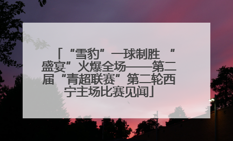 “雪豹”一球制胜 “盛宴”火爆全场——第二届“青超联赛”第二轮西宁主场比赛见闻