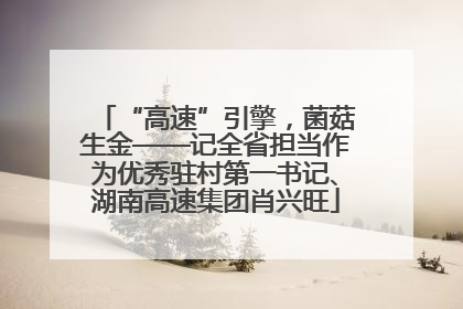 “高速”引擎，菌菇生金——记全省担当作为优秀驻村第一书记、湖南高速集团肖兴旺