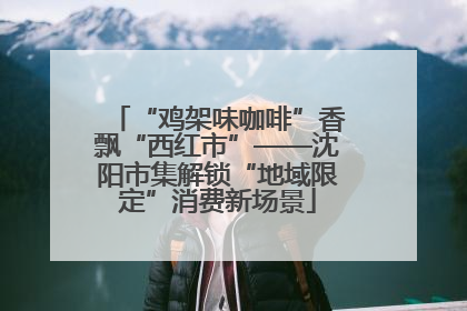 “鸡架味咖啡”香飘“西红市”——沈阳市集解锁“地域限定”消费新场景