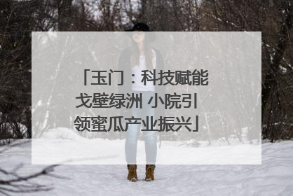 玉门：科技赋能戈壁绿洲 小院引领蜜瓜产业振兴