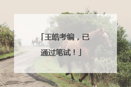 王皓考编，已通过笔试！