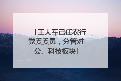 王大军已任农行党委委员，分管对公、科技板块