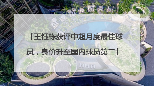 王钰栋获评中超月度最佳球员，身价升至国内球员第二