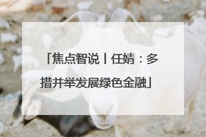 焦点智说丨任婧：多措并举发展绿色金融