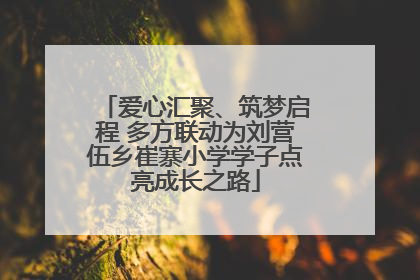 爱心汇聚、筑梦启程 多方联动为刘营伍乡崔寨小学学子点亮成长之路