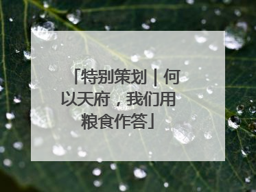 特别策划｜何以天府，我们用粮食作答