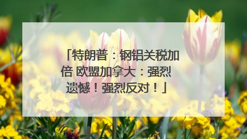 特朗普：钢铝关税加倍 欧盟加拿大：强烈遗憾！强烈反对！