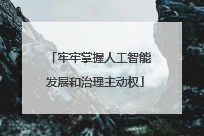 牢牢掌握人工智能发展和治理主动权