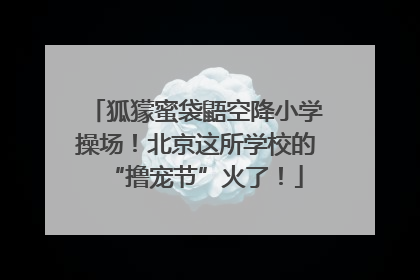 狐獴蜜袋鼯空降小学操场！北京这所学校的“撸宠节”火了！