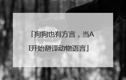 狗狗也有方言，当AI开始翻译动物语言