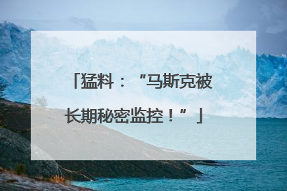 猛料：“马斯克被长期秘密监控！”