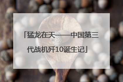 猛龙在天——中国第三代战机歼10诞生记