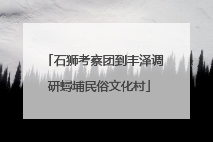 石狮考察团到丰泽调研蟳埔民俗文化村