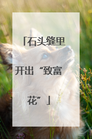 石头缝里开出“致富花”