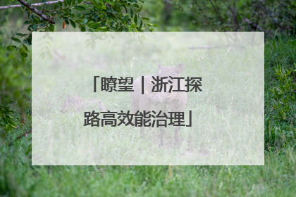 瞭望｜浙江探路高效能治理