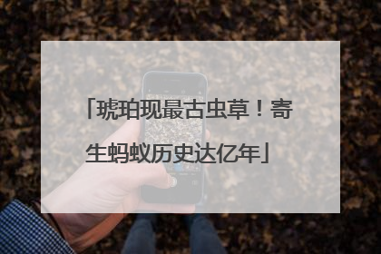 琥珀现最古虫草！寄生蚂蚁历史达亿年