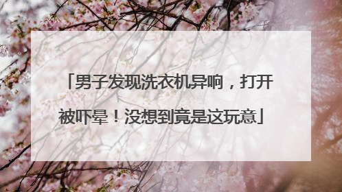 男子发现洗衣机异响，打开被吓晕！没想到竟是这玩意