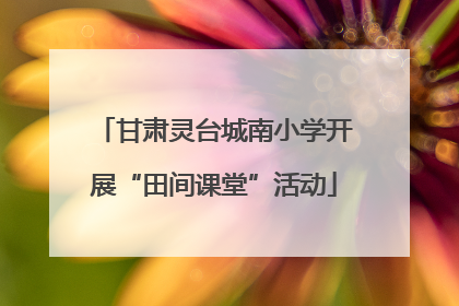 甘肃灵台城南小学开展“田间课堂”活动
