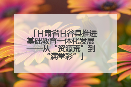 甘肃省甘谷县推进基础教育一体化发展——从“资源荒”到“满堂彩”