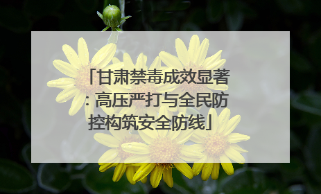 甘肃禁毒成效显著：高压严打与全民防控构筑安全防线